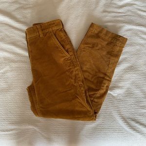 Everlane cropped straight leg cords